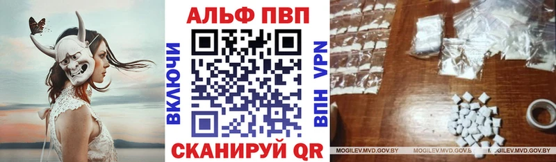 где продают наркотики  Ядрин  ОМГ ОМГ   APVP VHQ 