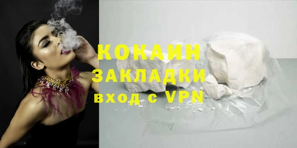 гидра Няндома