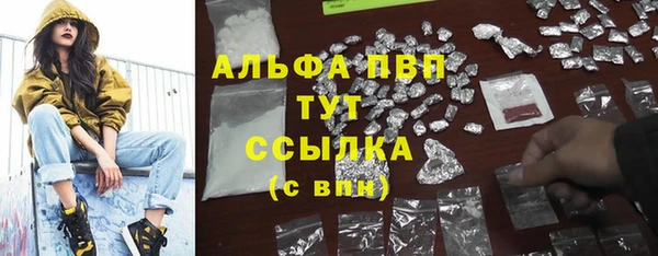 крисы Абдулино