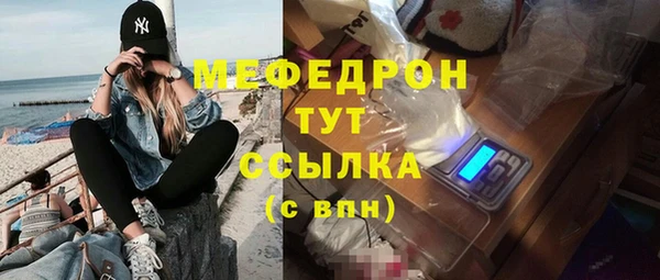 гидра Няндома